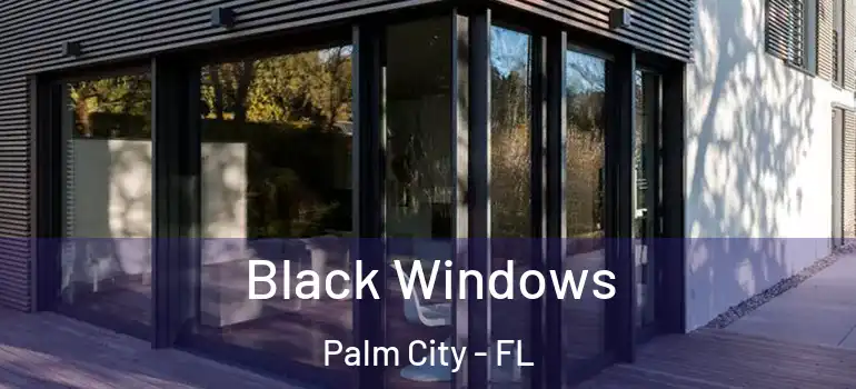 Black Windows Palm City - FL