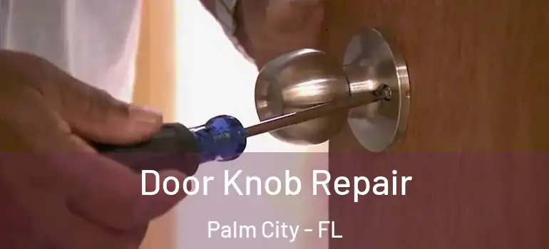 Door Knob Repair Palm City - FL