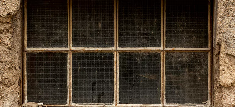 Traditional Double Front Doors in Palm City, FL