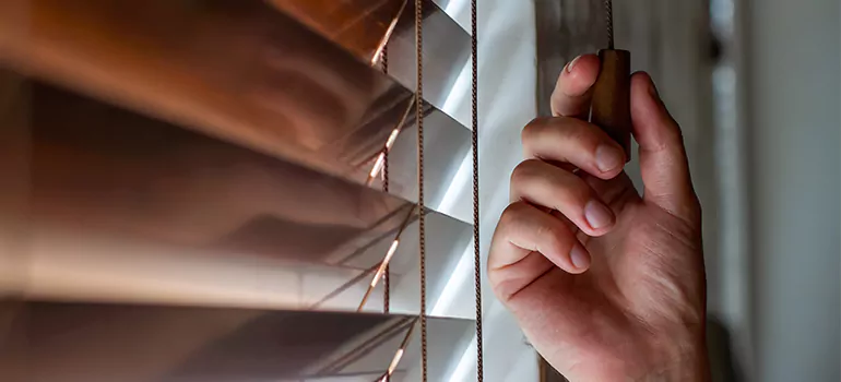 Double Roller Blinds in Palm City, FL