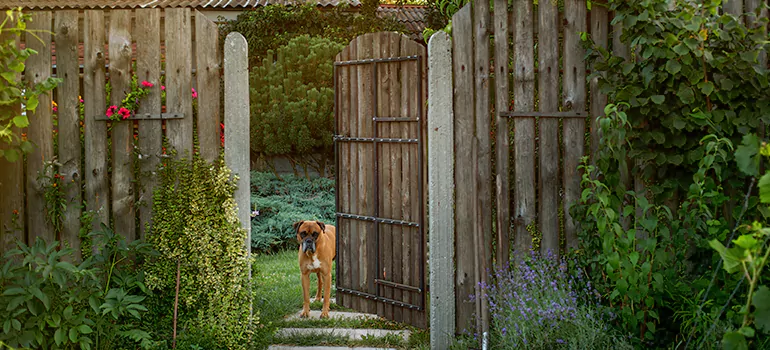 Winter Garden Garage Door Repair in Palm City,[location field=state]