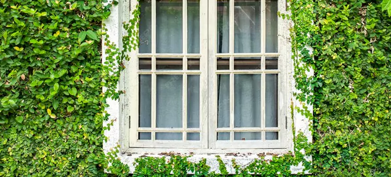 Garden Window Repair Near Me in Palm City, FL