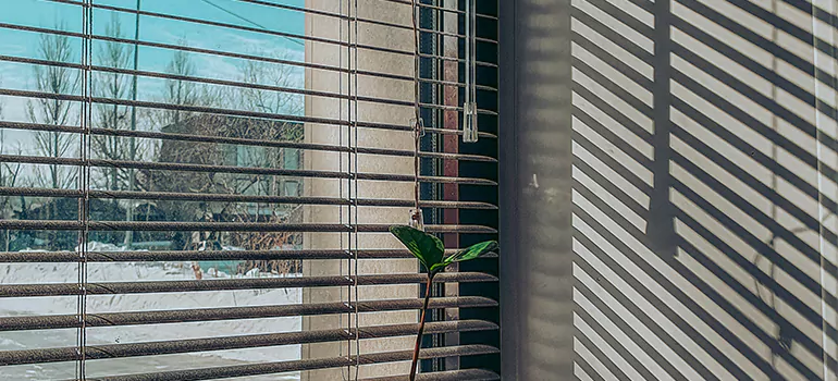 Commercial Window Blinds in Palm City, FL