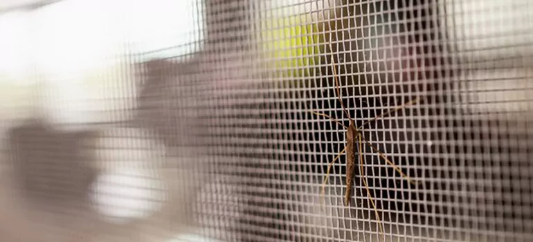 Repair Mosquito Mesh For Windows in Palm City, FL