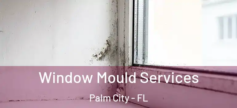 Window Mould Services Palm City - FL